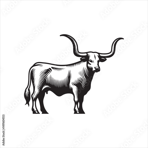 Black and White Vector of  Texas Longhorn Cow – Easy Tracing Illustration