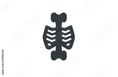 Illustration of a Skeletal Rib Cage Showcasing Human Anatomy Structure on Plain Background