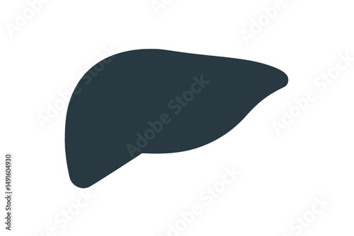 Human Liver Anatomy Illustration Dark Gray on Black