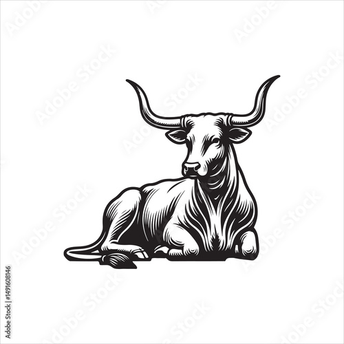 Black and White Vector of  Texas Longhorn Cow – Easy Tracing Illustration