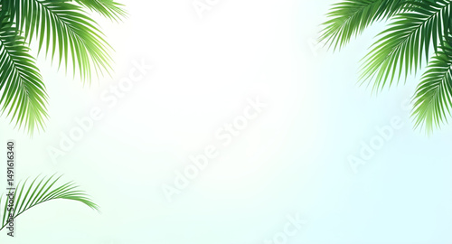 Palm leaves frame, Tropical frame, Palm frond border, Green palm frame, Botanical frame, Leafy frame, Palm leaf border, Jungle frame, Tropical leaf frame, Palm wreath, Palm foliage border, Exotic fram