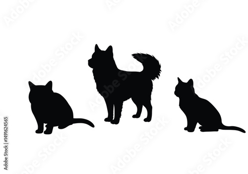 Pet silhouette. This image shows black cat and dog outlines, representing domestic animals. Vector clipart illustration design.