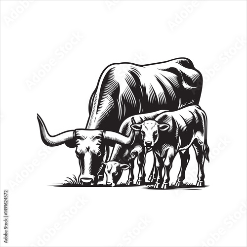 Black and White Vector of  Texas Longhorn Cow – Easy Tracing Illustration