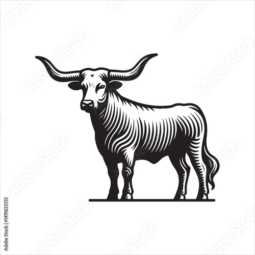 Black and White Vector of  Texas Longhorn Cow – Easy Tracing Illustration