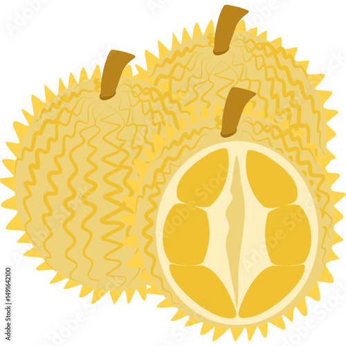Vibrant Illustration of Durian Fruit, Whole and Cut Open