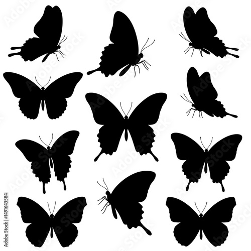 Ephemeral Dance of Shadows AI Generated