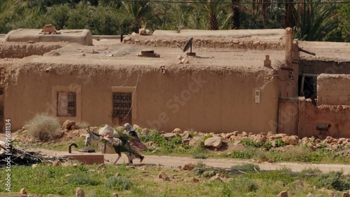 A Berber woman leads a donkey carrying bundles of grass along a dusty road past traditional Moroccan houses. This scene evokes a sense of rural life, simplicity, and cultural heritage.