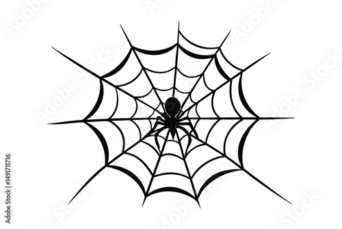 spider and web silhouette vector illustration on white background
