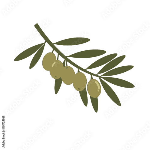 Olive Branch With Green Olives
