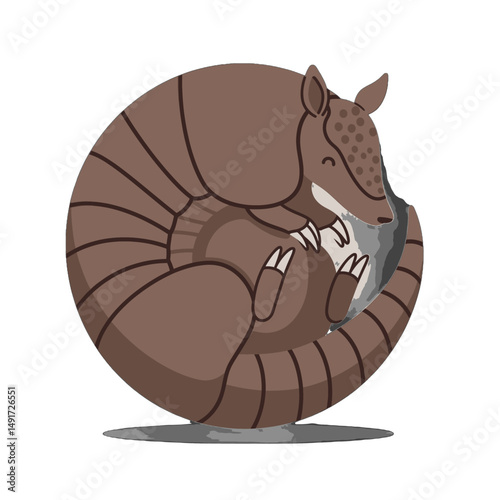 Cute Armadillo Curled Up