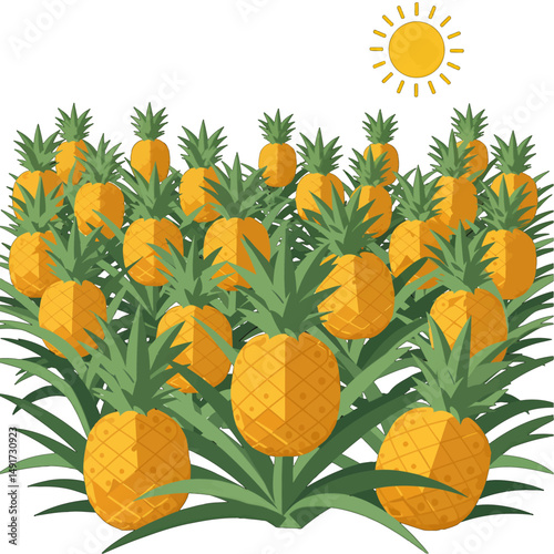 Vibrant Pineapple Plantation Illustration