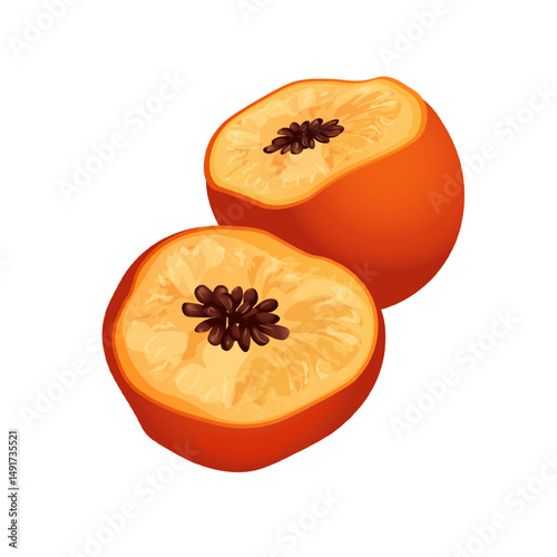 Vector illustration of a peach cut in half showing pit and textured orange flesh