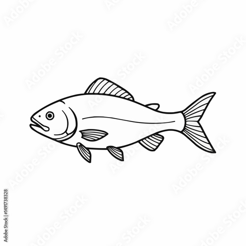 Simple monochrome drawing of a fish with defined lines and details on a white backdrop
