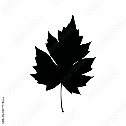 A bold, black leaf silhouette on a stark white backdrop, capturing its jagged edges