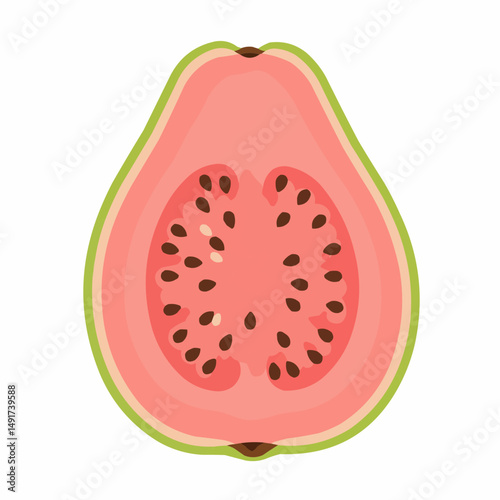 Flat style illustration of the half of a light green and pink guava fruit