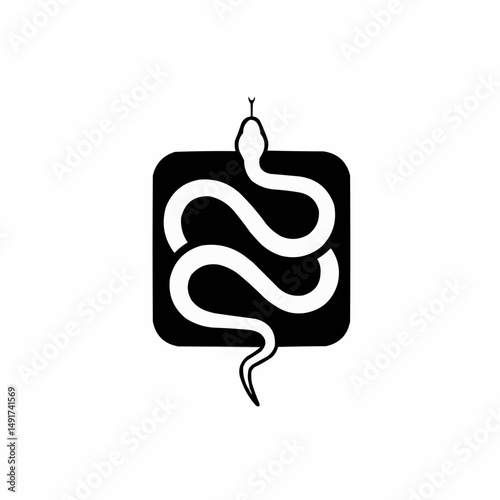 Minimalist graphic featuring a white snake coiled on a black shape