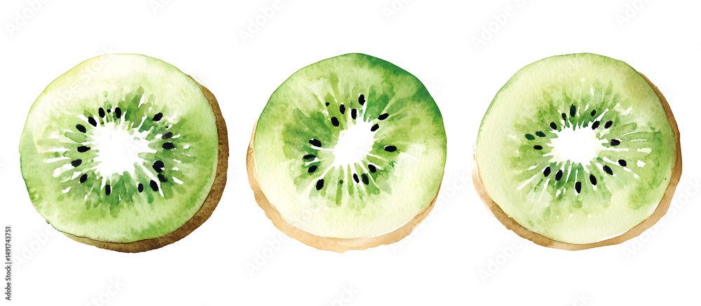 Fototapeta premium Fresh kiwi watercolor illustration isolated on transparent background