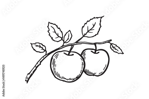 apple tree branch line art and black color 