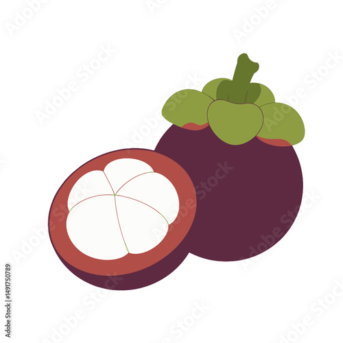 Colorful Mangosteen Slice Illustration