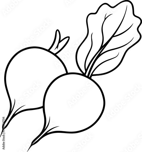 radishes vegetable outline vector and illustration, coloring book page