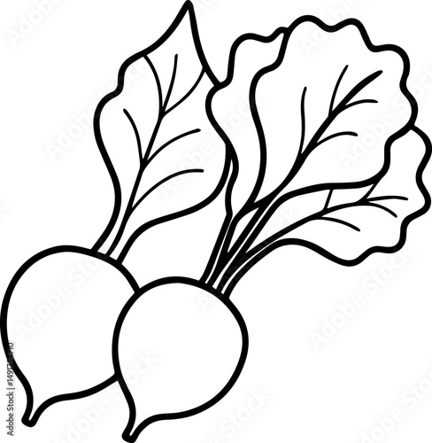 radishes vegetable outline vector and illustration, coloring book page