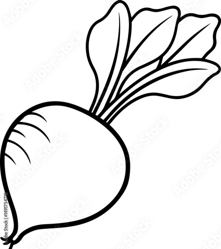 radishes vegetable outline vector and illustration, coloring book page