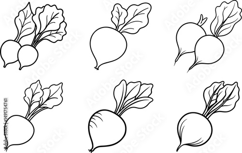 Set of radishes vegetable outline vector and illustration, coloring book page