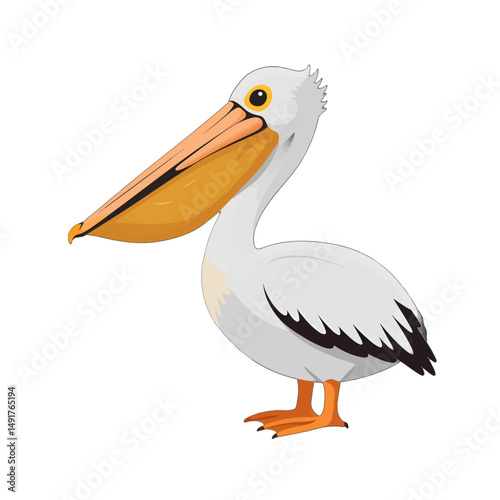 Cartoon Pelican Illustration