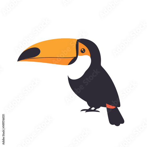 Colorful Toucan Illustration On White Background