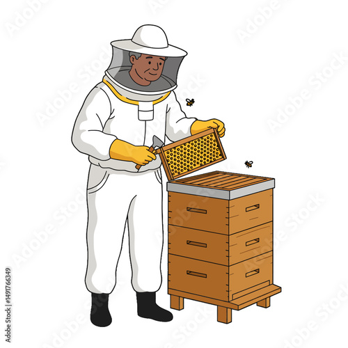 Beekeeper Harvesting Honeycomb From Beehive