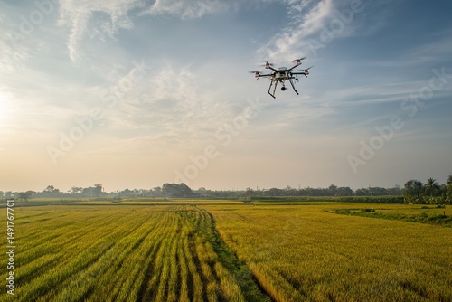 Drone surveying agriculture farm field aerial view of crops for precision farming and smart agriculture tech