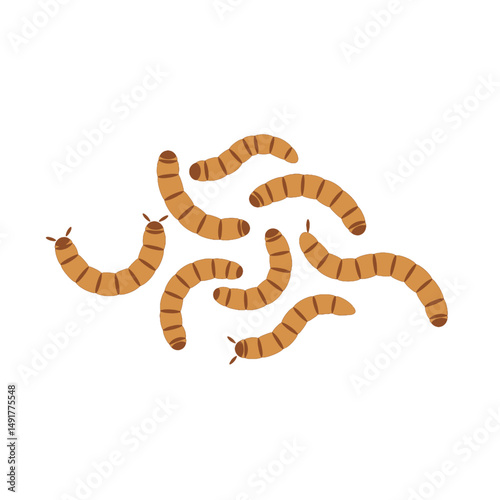 Group Of Brown Mealworms On White Background