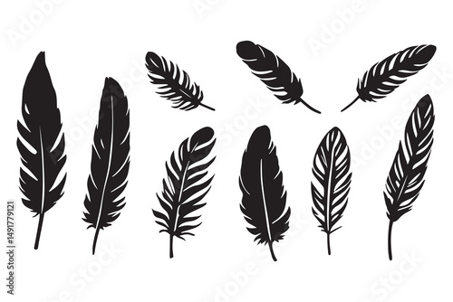 flying black feathers line art and black color