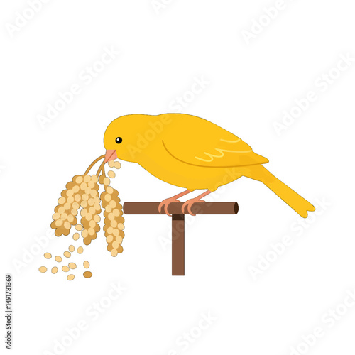 Yellow Canary Eating Seeds On Perch