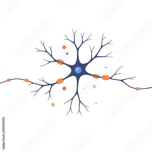 Detailed Illustration Of A Neuron