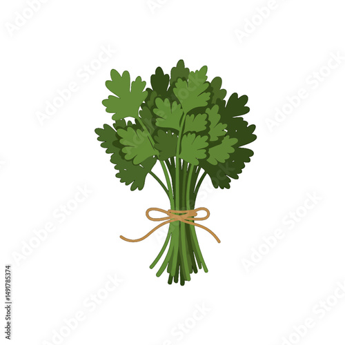 Bunch Of Fresh Parsley Tied With String