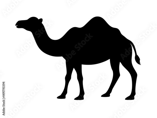 Dromedary Camel Silhouette