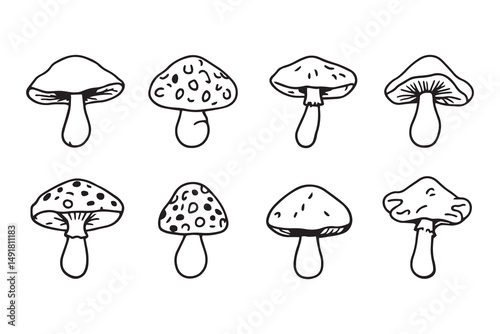 reishi mushroom line art and black color