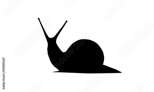 The snail silhouette icon features an elegant style with a sturdy shell and head sticking out upwards.