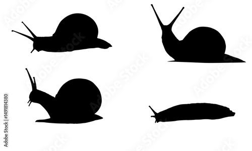Snail silhouette icon features various styles, leisurely crawling, tilted shell, raised antennae, bringing a cute and unique impression in minimalist design.