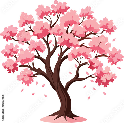 Japanese sakura tree