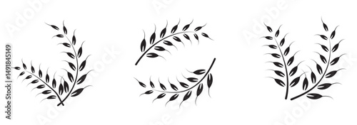 Wheat icons set. Wheat ear of various shapes, linear icon collection. Wheat wreaths and grain spikes set icons.