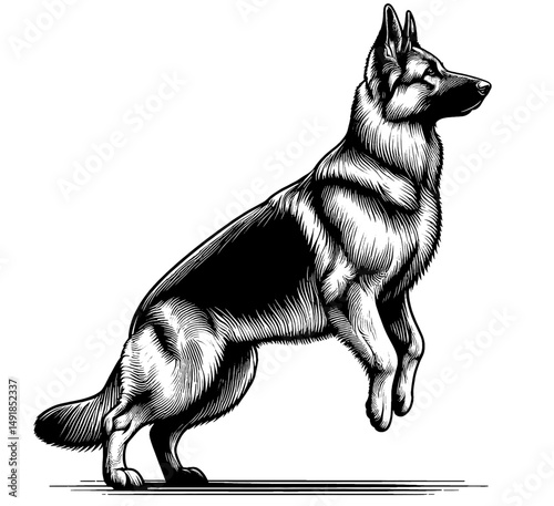 Hand drawn cute German Shepherd in full-body, vector sketch isolated on white background, SVG vector	