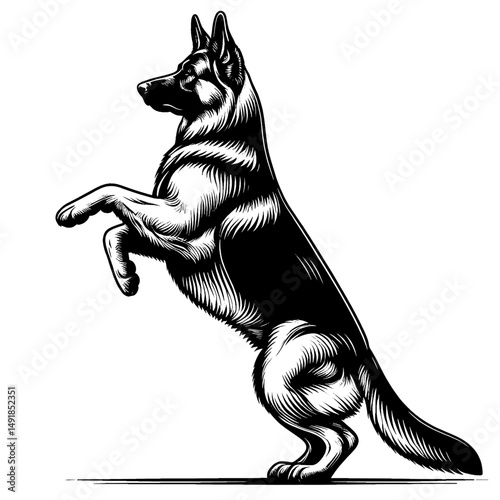 Hand drawn cute German Shepherd in full-body, vector sketch isolated on white background, SVG vector	