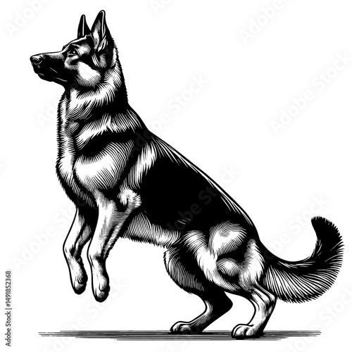 Hand drawn cute German Shepherd in full-body, vector sketch isolated on white background, SVG vector	