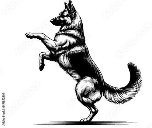 Hand drawn cute German Shepherd in full-body, vector sketch isolated on white background, SVG vector	