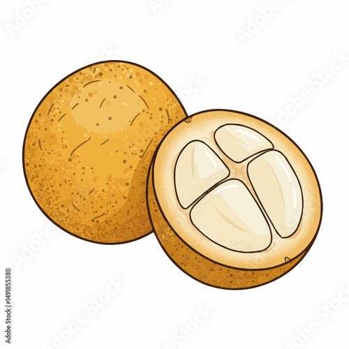 Vector illustration of two, ripe, delicious, appetizing fruit