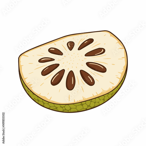 A cross-section of tan flesh with brown seed shapes and tan rind at right