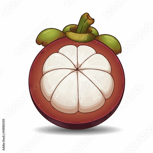 A mangosteen illustration shows white segments under leafy green