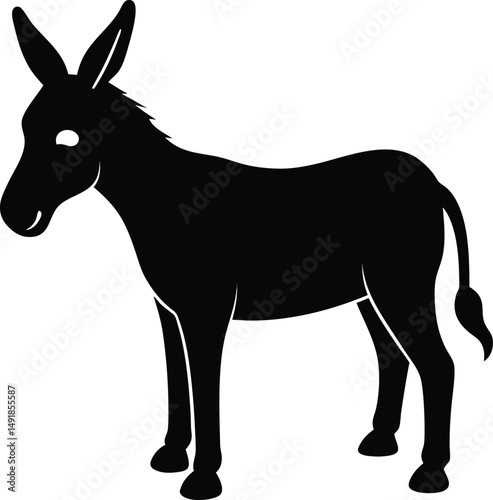donkey isolated on white background